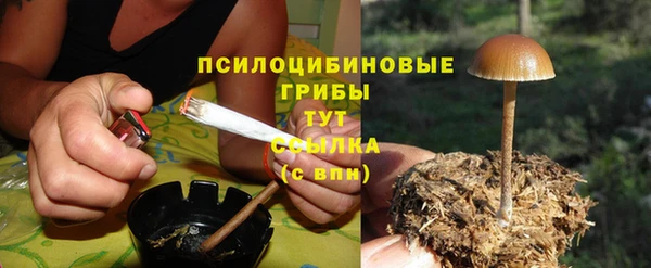 дурь Алексеевка