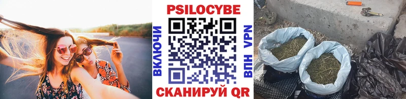 наркотики  Кувшиново  Псилоцибиновые грибы MAGIC MUSHROOMS 